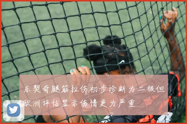 东契奇腿筋拉伤初步诊断为二级但欧洲评估显示伤情更为严重