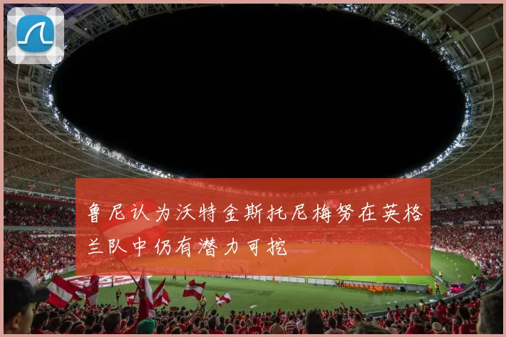 鲁尼认为沃特金斯托尼梅努在英格兰队中仍有潜力可挖